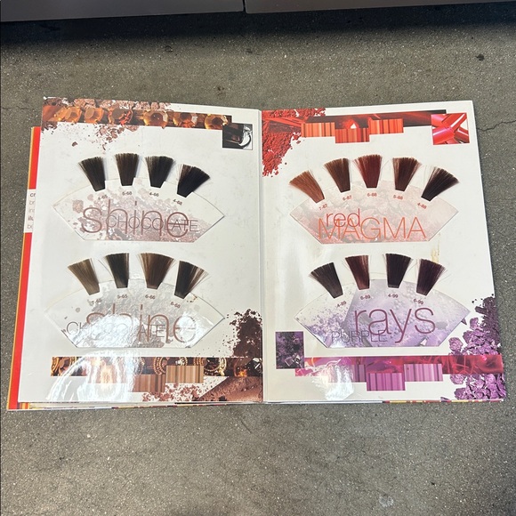 Schwarzkopf Other - Schwarzkopf hair color book